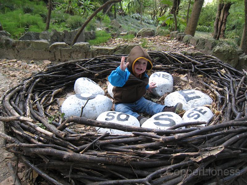 IMG_4494.JPG - After Sprocket's nap, we headed to the botanical garden to let Sprocket have a bit of time running about. We couldn't resist this nest.