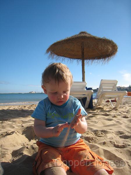 IMG_4517.JPG - Sprocketl fascinated by the sand.