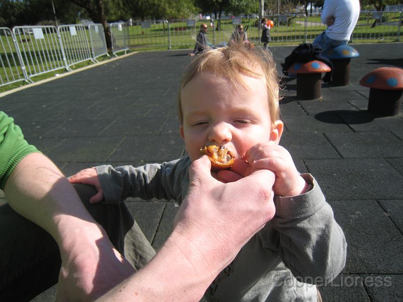 IMG_4615.JPG - Sprocket eating part of one of the famous Belém pastries.