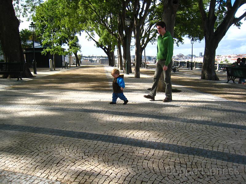 IMG_4656.JPG - Sprocket running about the park at the top. This was fine until he got obsessed by the fountain.